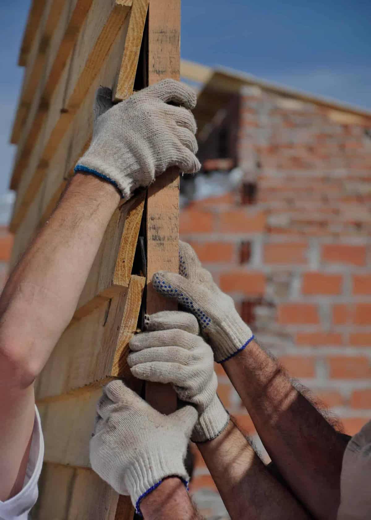 Referentes comunitarias